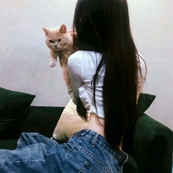 小查与寇弟的顶级冒险